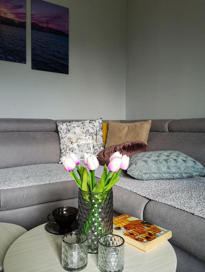 Apartman Jela Nova Varoš Exteriér fotografie