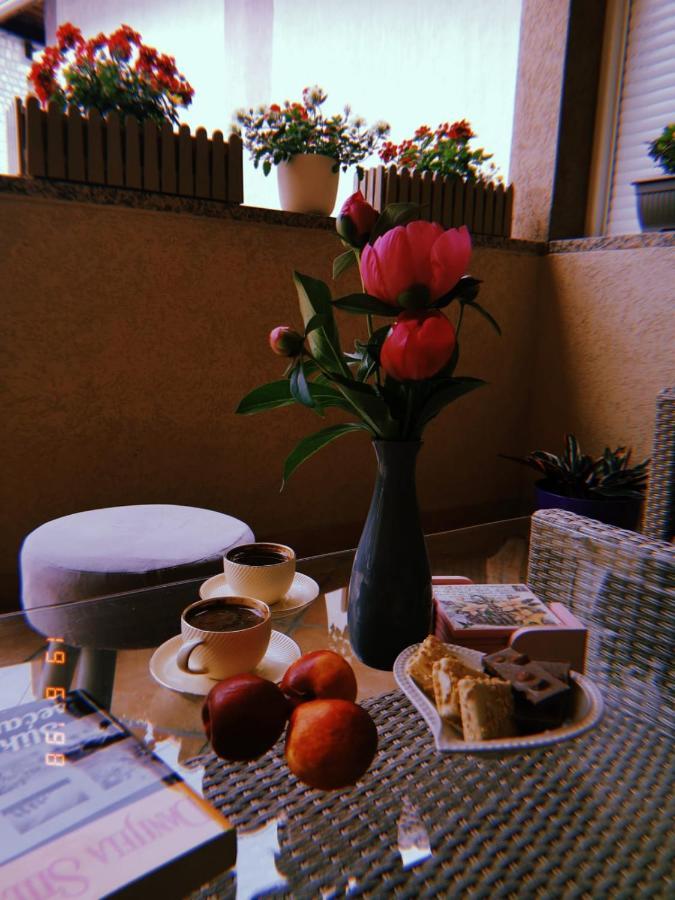 Apartman Jela Nova Varoš Exteriér fotografie