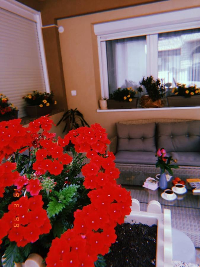 Apartman Jela Nova Varoš Exteriér fotografie